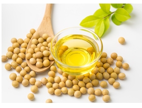 是什么推動了豆油盤面的全線回落，行情后市又該何去何從呢？